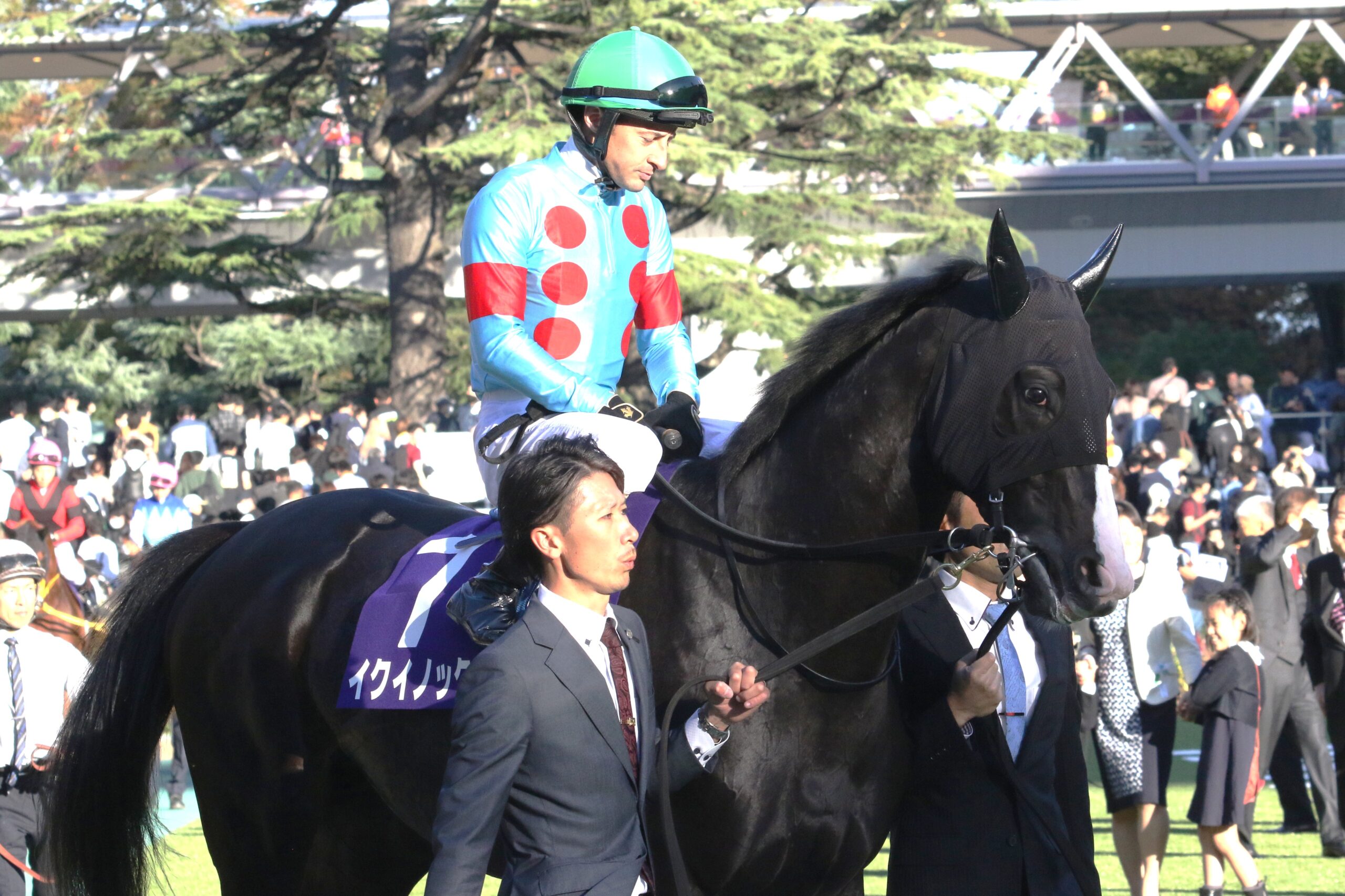 「負けるという選択肢のない」ラストラン! イクイノックスの2023年ジャパンカップを振り返る