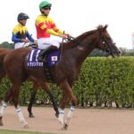 挑戦者の記憶と、継承者への旅路。トウシンマカオの引退に寄せて