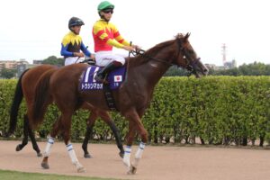 挑戦者の記憶と、継承者への旅路。トウシンマカオの引退に寄せて