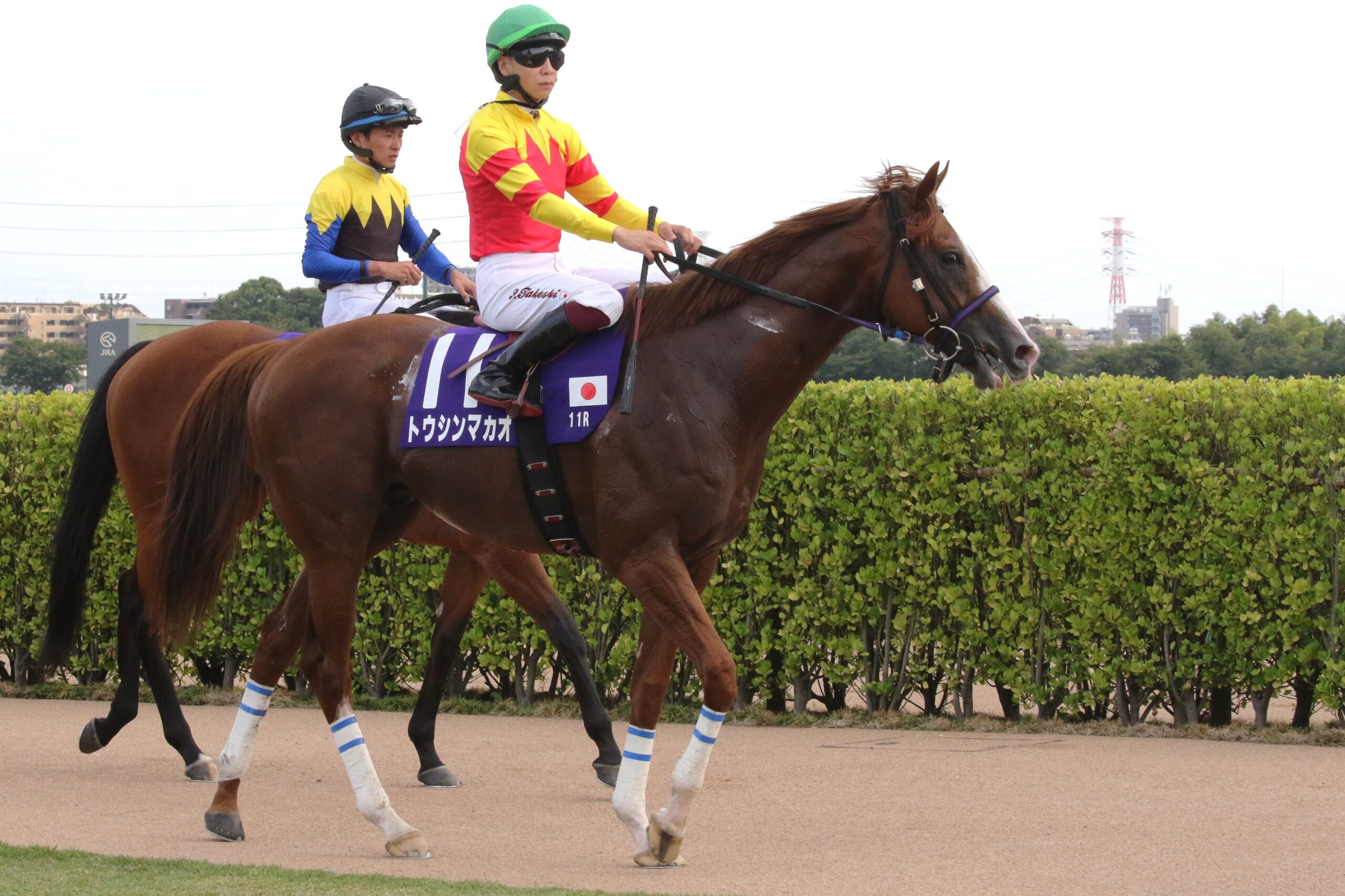 挑戦者の記憶と、継承者への旅路。トウシンマカオの引退に寄せて