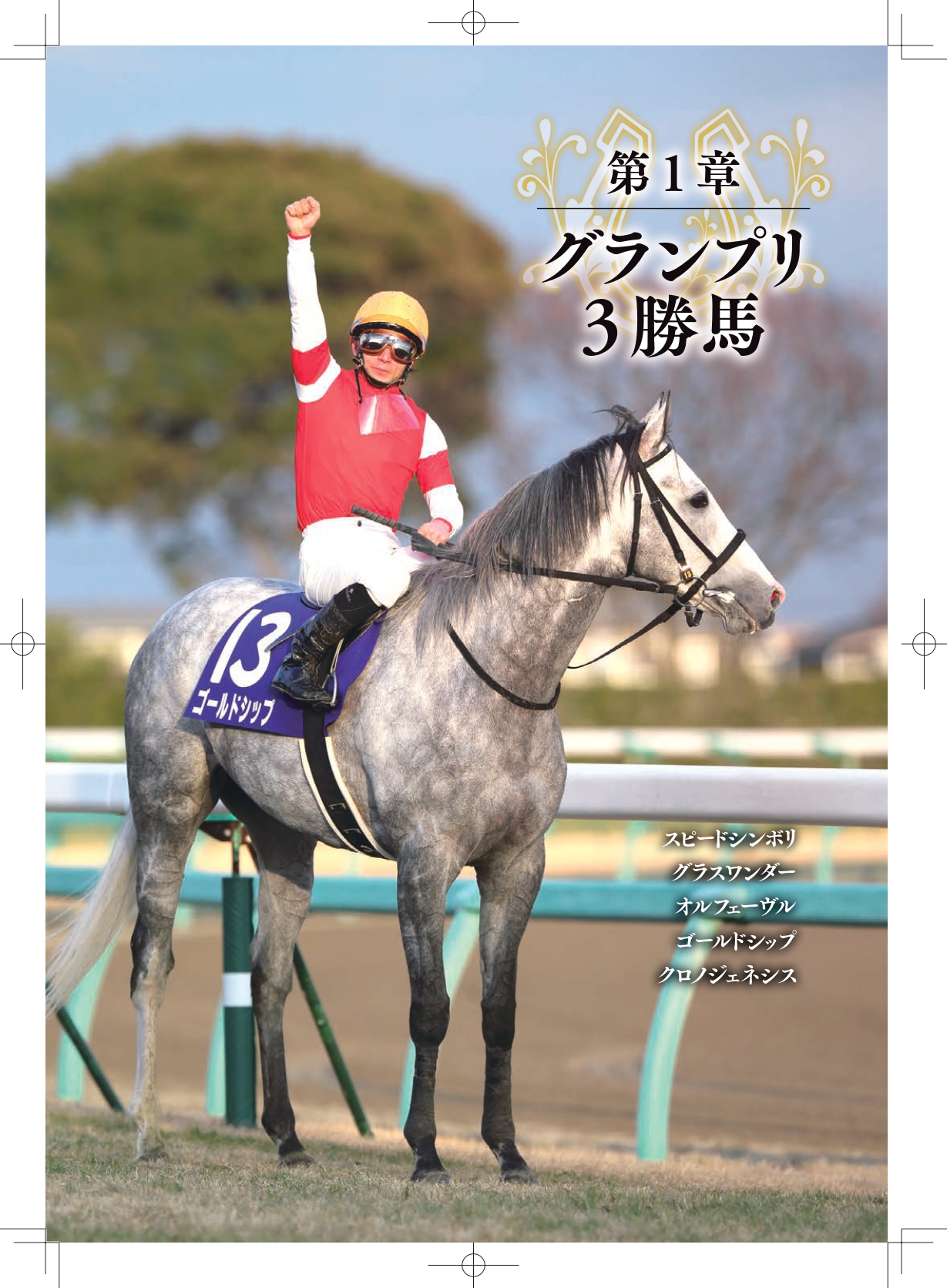 ［大好評御礼］グランプリを語り尽くす一冊『伝説のグランプリホース』の目次が公開！