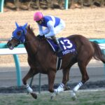 生涯連対率１００％のダイワスカーレットが魅せたベストレース／２００７年エリザベス女王杯