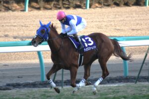 生涯連対率１００％のダイワスカーレットが魅せたベストレース／２００７年エリザベス女王杯