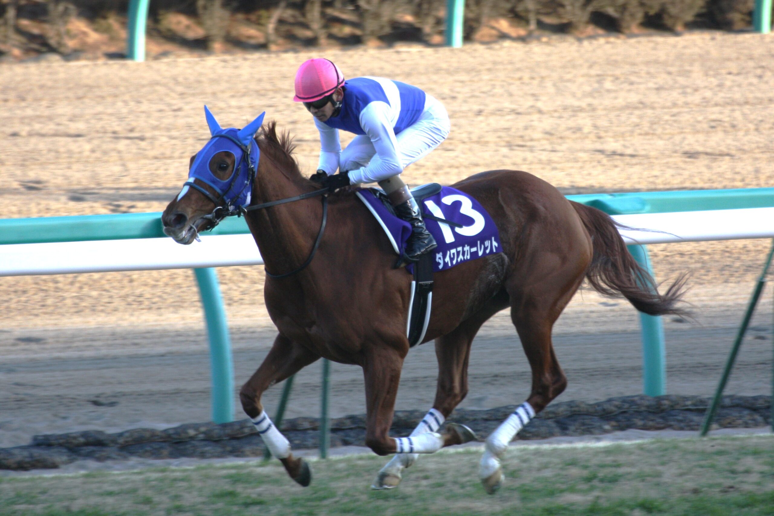 生涯連対率100%のダイワスカーレットが魅せたベストレース/2007年エリザベス女王杯