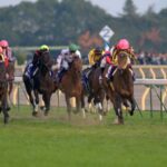 ブエナビスタ - 一番人気に愛され、現役最強を名乗り続けた生真面目な才女