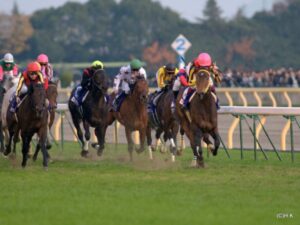 ブエナビスタ - 一番人気に愛され、現役最強を名乗り続けた生真面目な才女