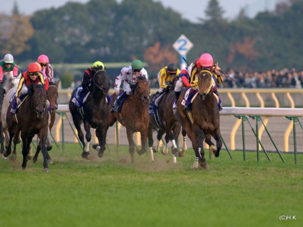 ブエナビスタ - 一番人気に愛され、現役最強を名乗り続けた生真面目な才女