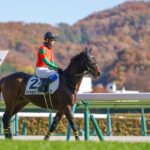 黄金旅程の最後の焔 - マイネルヴァッサー