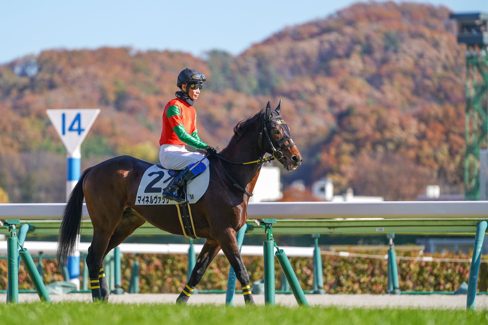 黄金旅程の最後の焔 - マイネルヴァッサー