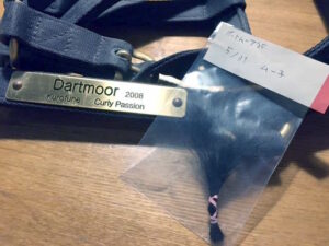 ［連載・片目のサラブレッド福ちゃんのPERFECT DAYS］ムー子の虹（シーズン1-73）