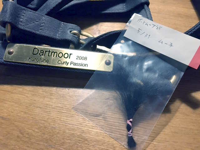 ［連載・片目のサラブレッド福ちゃんのPERFECT DAYS］ムー子の虹（シーズン1-73）