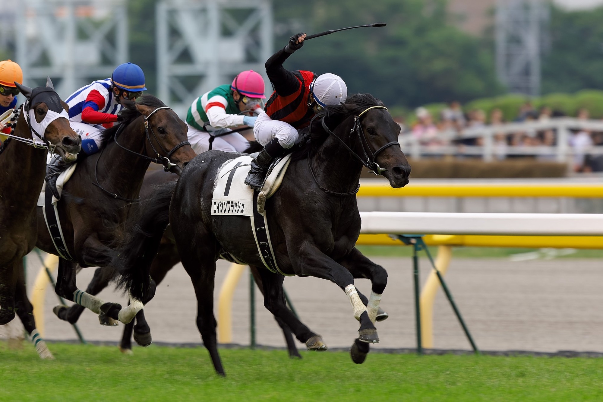 あの日、府中に閃いた光 - エイシンフラッシュ