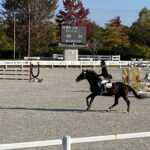 ［全日本学生馬術大会2025］ヴェロックスを追いかけて。三木ホースランドパークで知った学生馬術の魅力