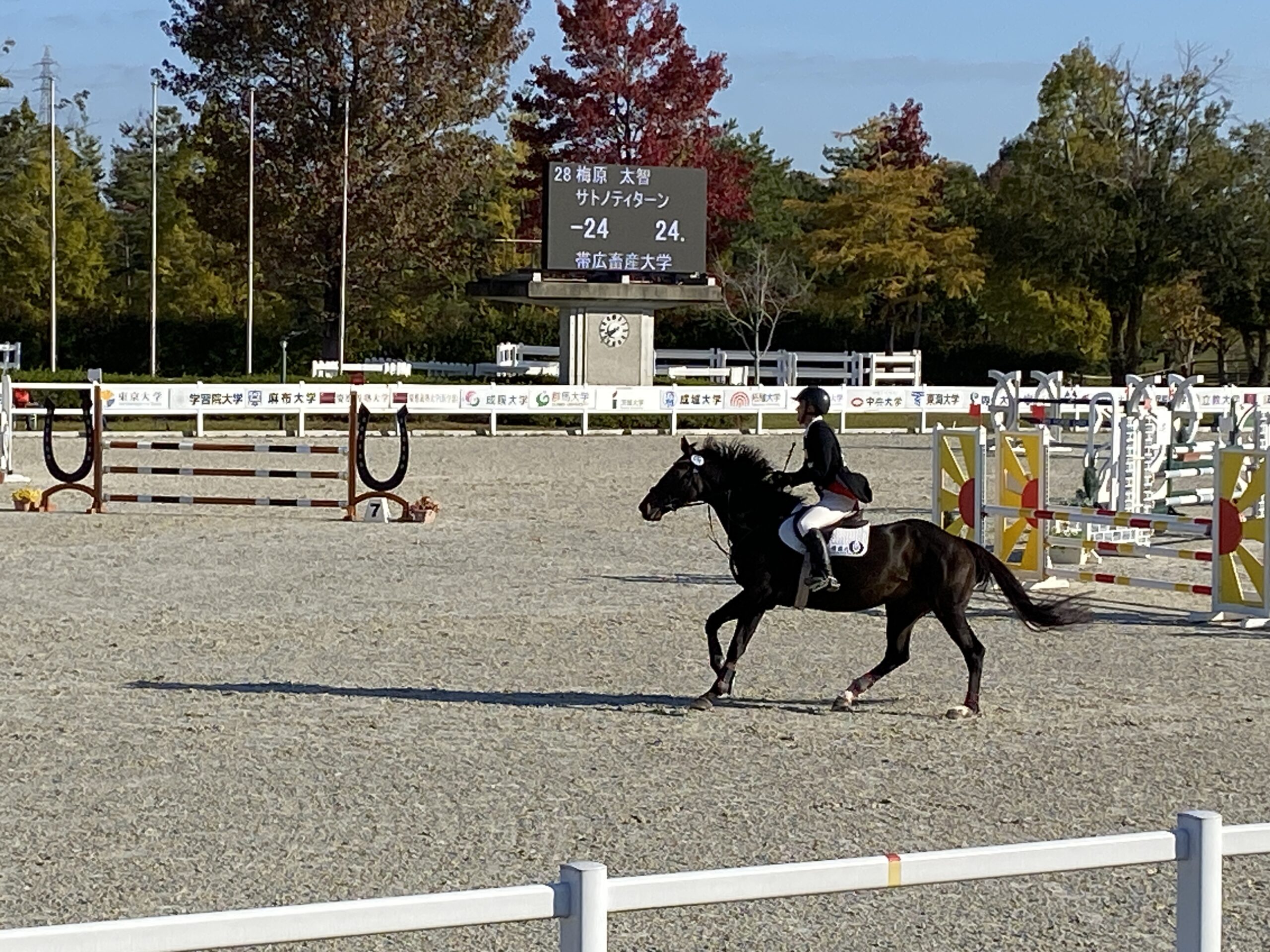 ［全日本学生馬術大会2025］ヴェロックスを追いかけて。三木ホースランドパークで知った学生馬術の魅力