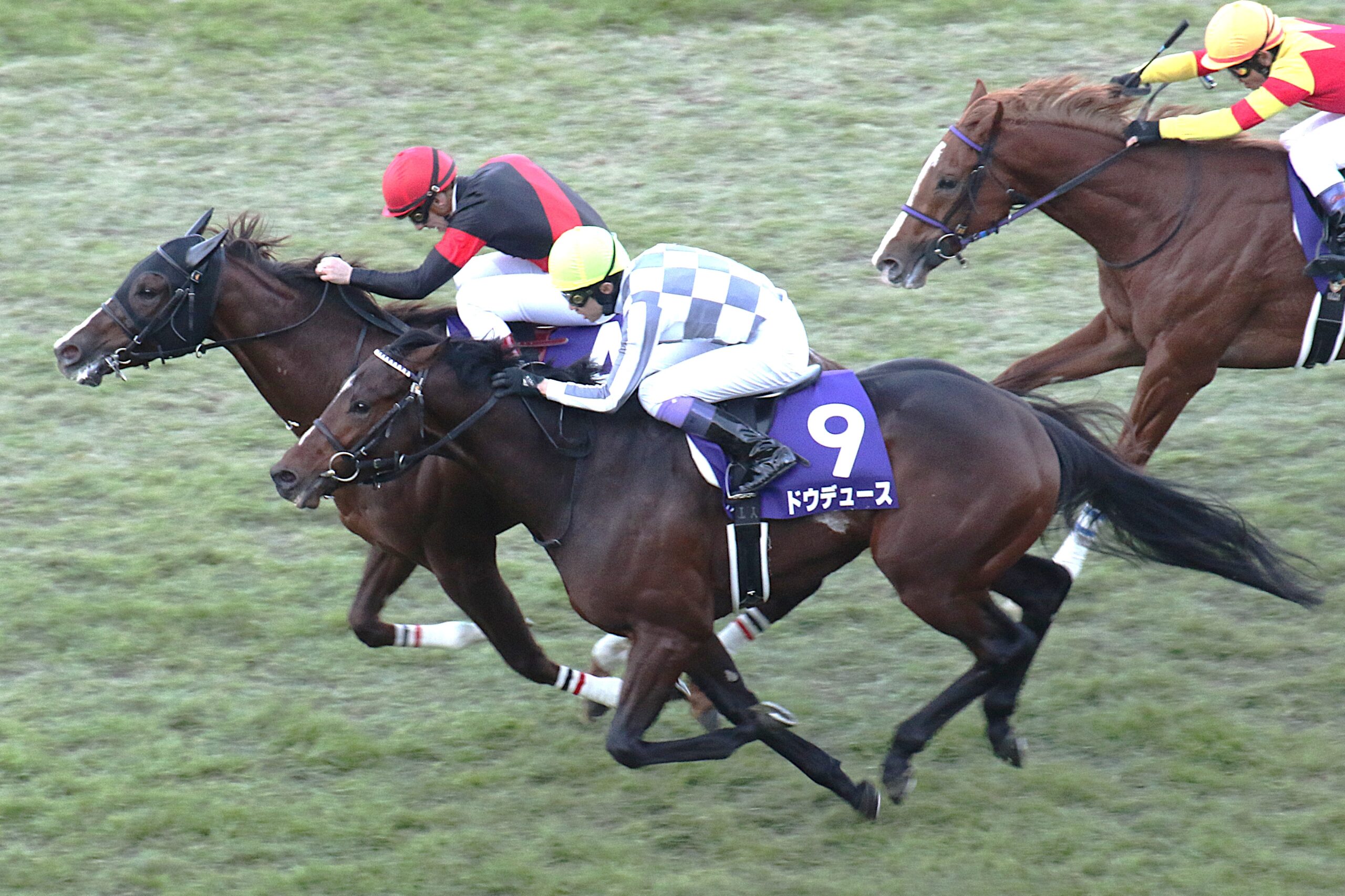 ドウデュースと武豊、最強buddyへの序章 - 2021年・朝日杯フューチュリティステークス