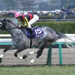 有馬記念、もうひとつのラストラン物語／スマートレイアーとアエロリット