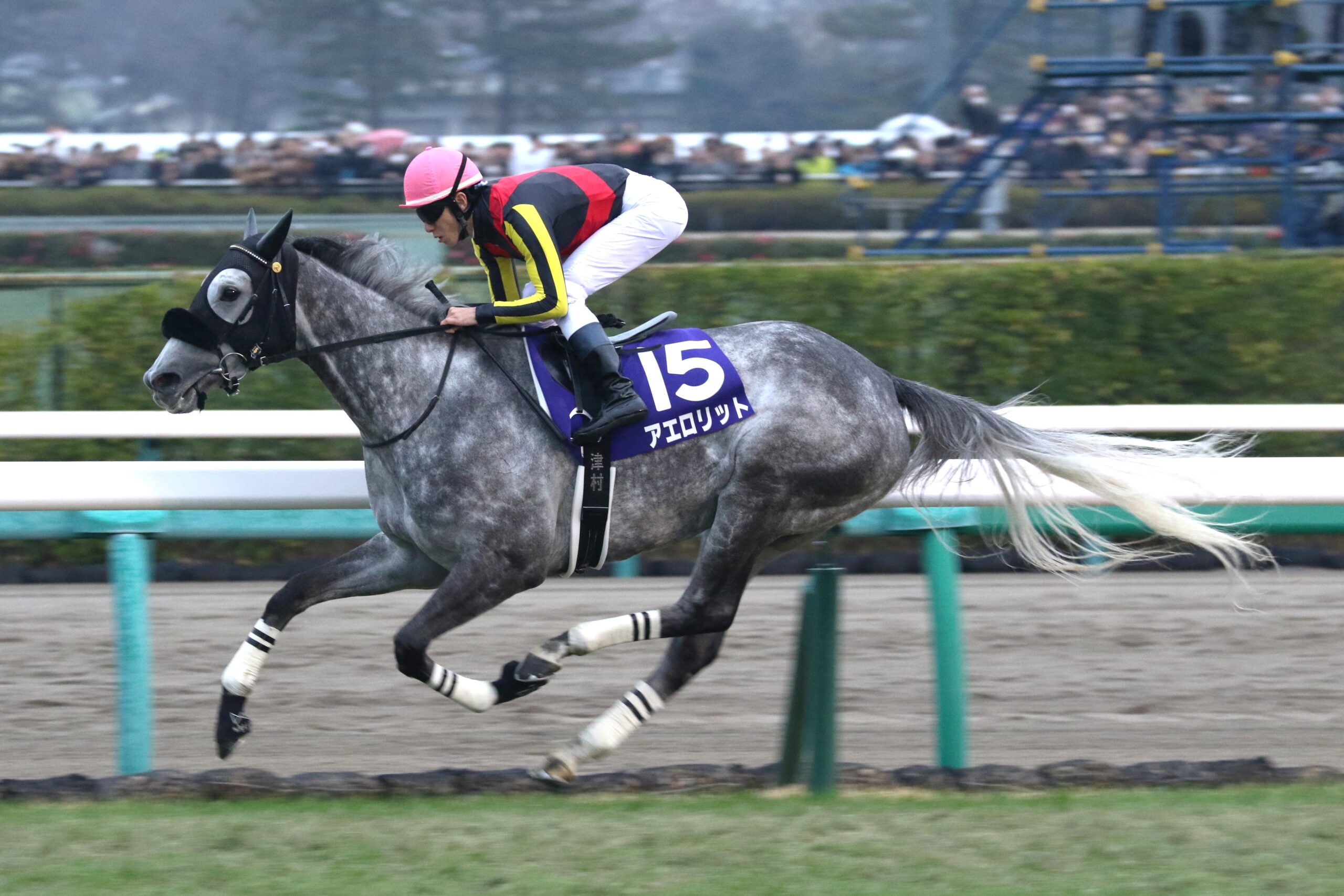 有馬記念、もうひとつのラストラン物語／スマートレイアーとアエロリット