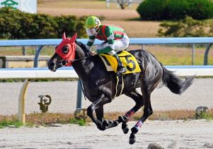 ［遊駿＋］トウカイテイオー、ハイセイコー、ウオッカ…　金沢の2歳馬たちに宿る、名馬の血