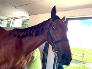 ［連載・片目のサラブレッド福ちゃんのPERFECT DAYS］卒業記念撮影会（シーズン1-76）