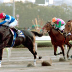 誇り高き岩手の皇帝 - 漆黒の雄・トーホウエンペラー