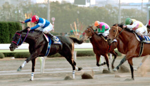 誇り高き岩手の皇帝 - 漆黒の雄・トーホウエンペラー