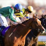 ［重賞回顧］緑に赤の”王者の印”とともに～2025年・ジャパンカップ～