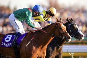 ［重賞回顧］緑に赤の”王者の印”とともに～2025年・ジャパンカップ～