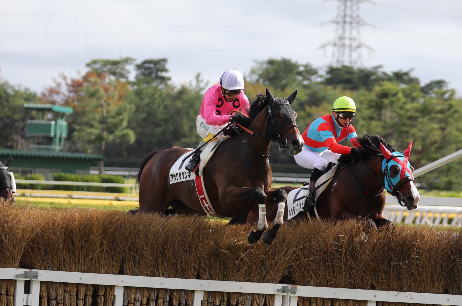 小倉の空の下 - アサクサゲンキの長い旅路の終わりに寄せて