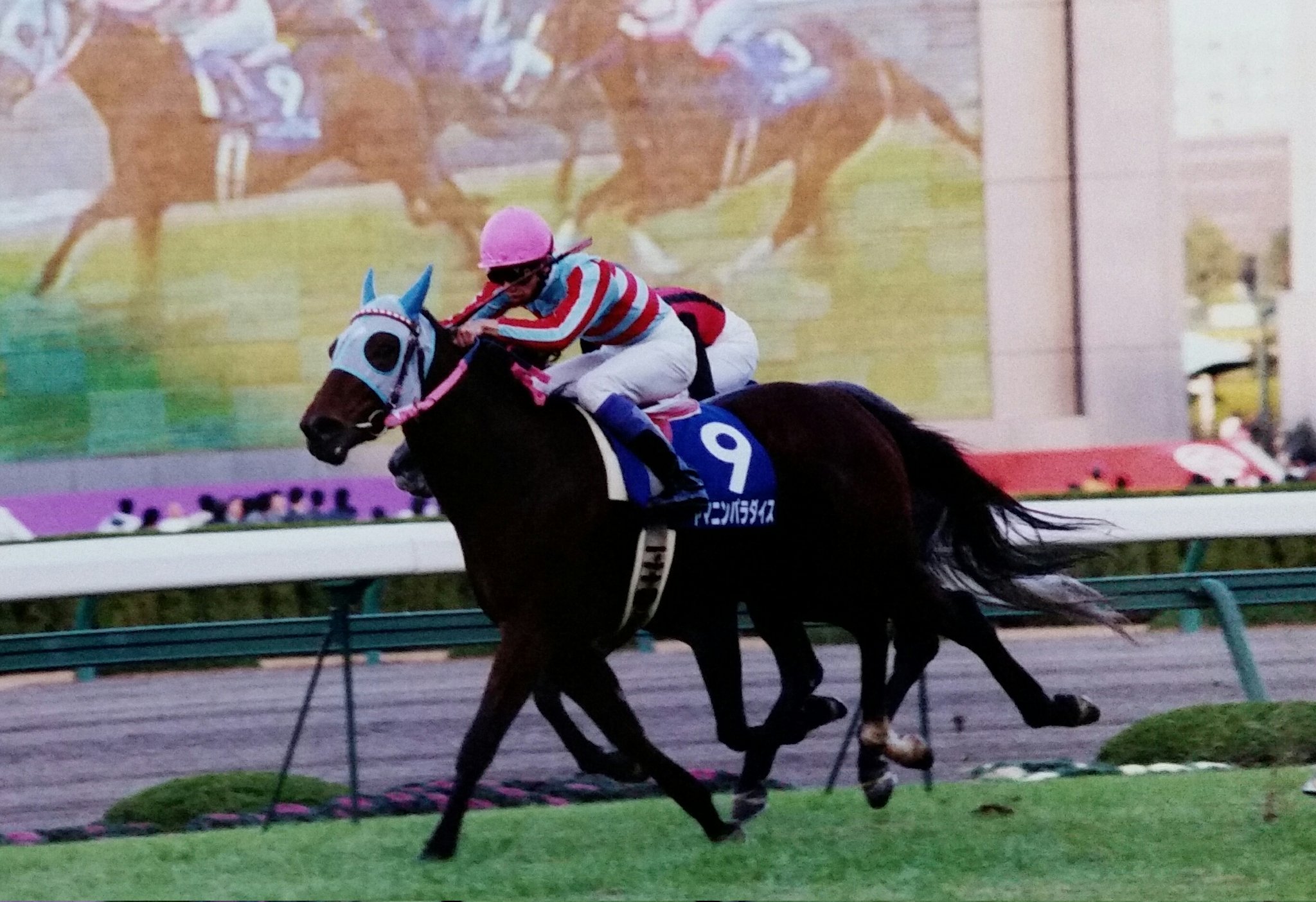 異国からやってきた、スピード自慢の可憐な少女 - ヤマニンパラダイス