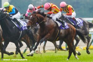 二階級制覇の名馬、モーリス〜グラスワンダー、スクリーンヒーローから受け継ぐ、その血の運命〜