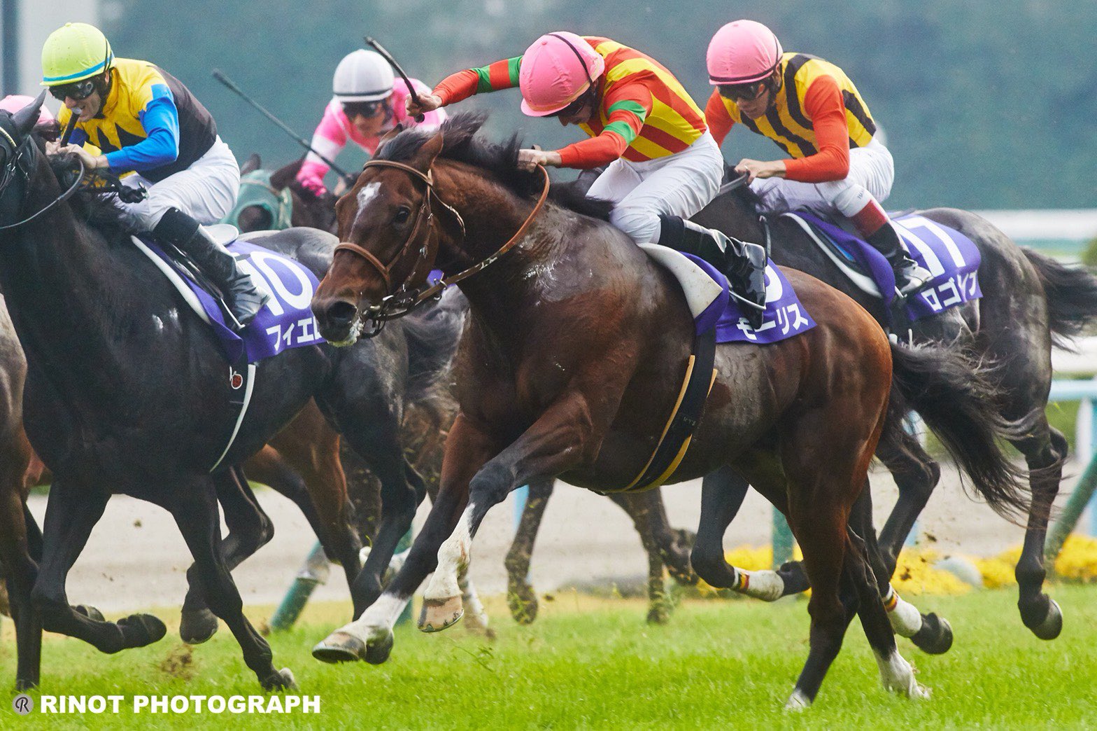 二階級制覇の名馬、モーリス〜グラスワンダー、スクリーンヒーローから受け継ぐ、その血の運命〜