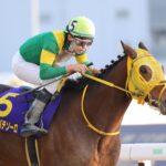 ウシュバテソーロ - 数奇な旅路を辿った皆の宝物