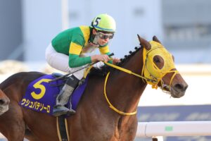 ウシュバテソーロ - 数奇な旅路を辿った皆の宝物