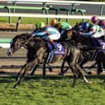 ［有馬記念］イクイノックスという「天才」が教えてくれたこと