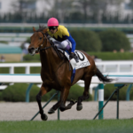 兄よ、弟よ - ニュービギニングが放ったひとつの輝き