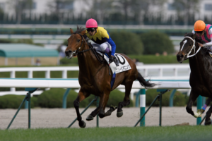 兄よ、弟よ - ニュービギニングが放ったひとつの輝き