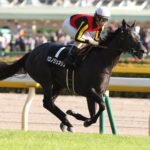 グランプリこそ彼女の舞台 - 芦毛のヒロイン・クロノジェネシス