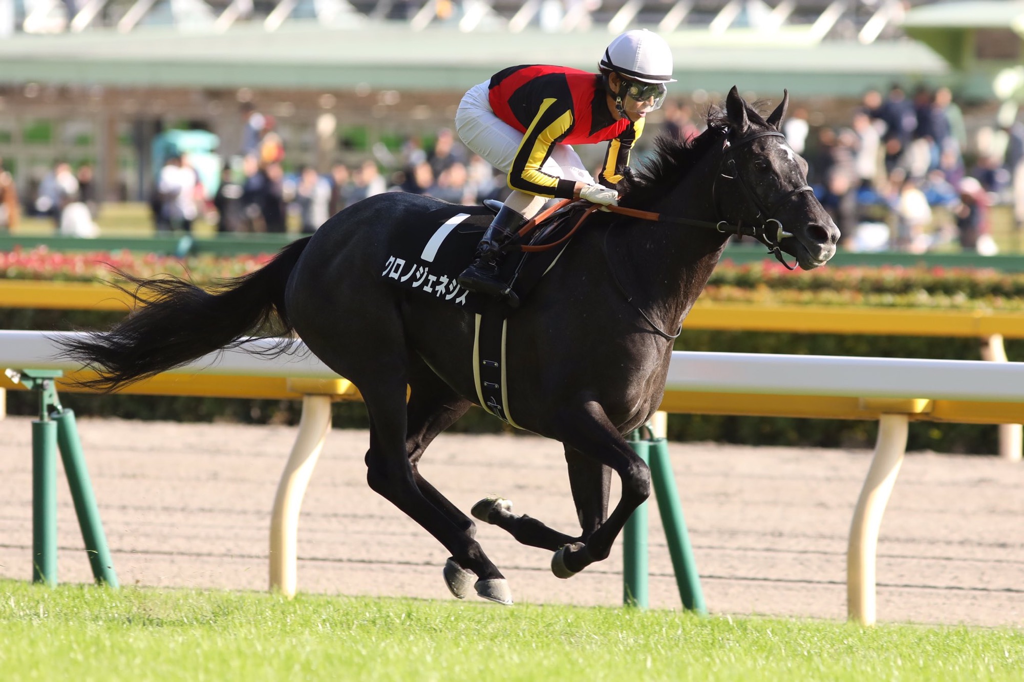 グランプリこそ彼女の舞台 - 芦毛のヒロイン・クロノジェネシス