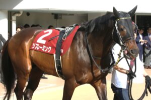 キングヘイローの血と共に過ごした、長い旅路の終わり - リフレーミングの引退に寄せて