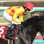 カラテという名の物語 - ファンたちが見届けた、誠実な走りと温かな余韻