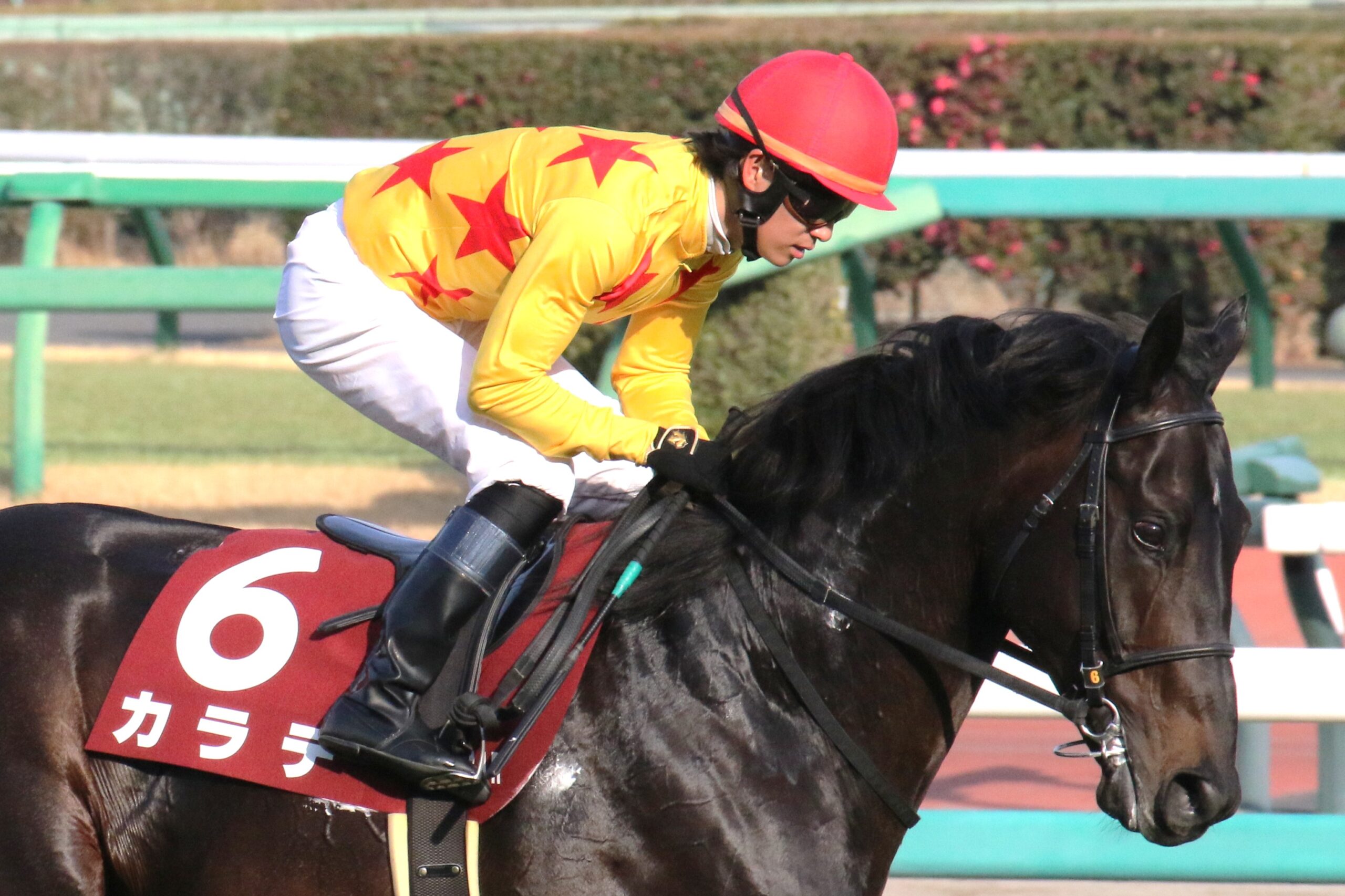 カラテという名の物語 - ファンたちが見届けた、誠実な走りと温かな余韻