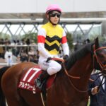 愛された馬“アルしゃん”こと、アルナシームの「幸せの蹄跡」を振り返る