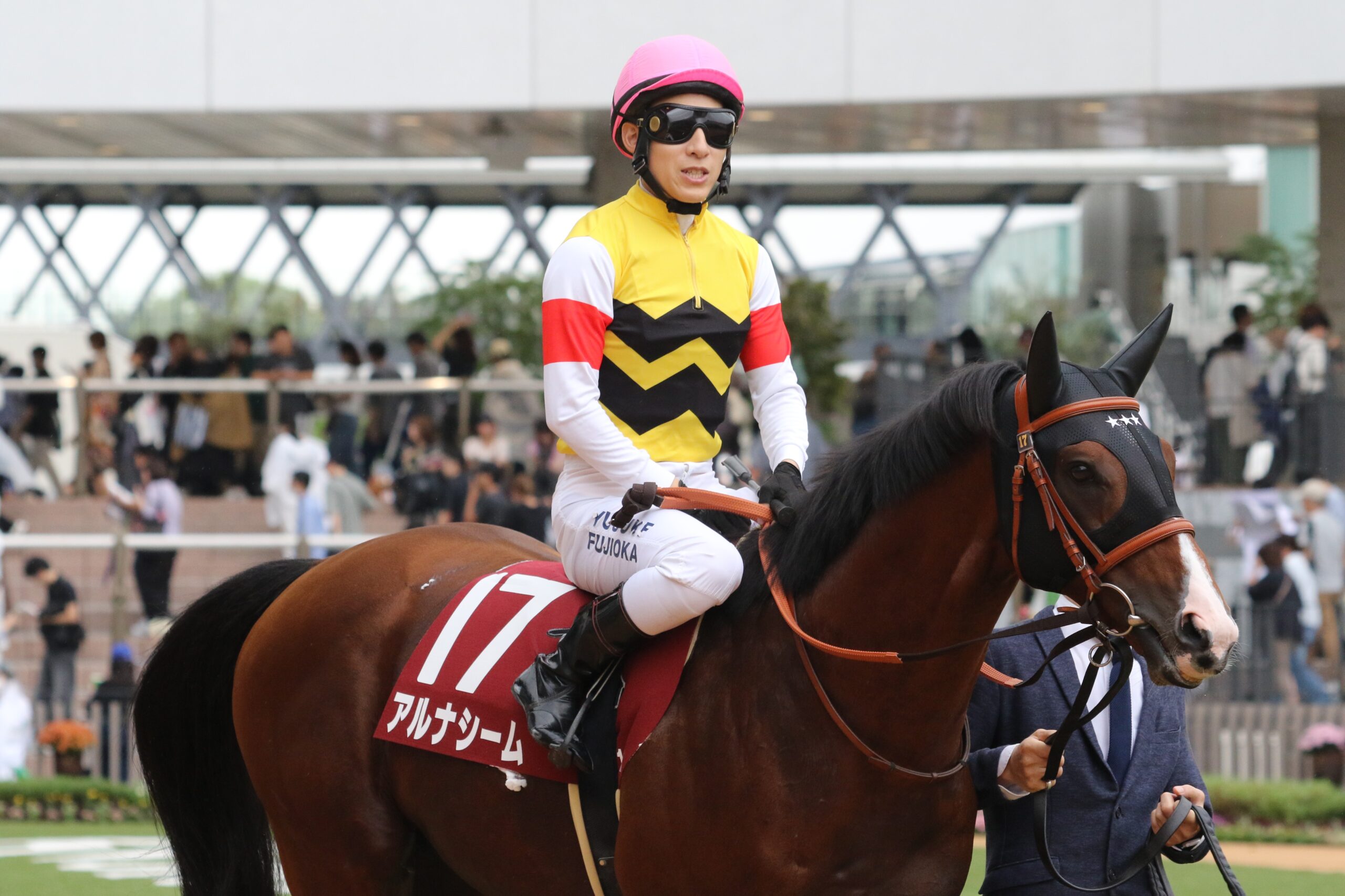 愛された馬“アルしゃん”こと、アルナシームの「幸せの蹄跡」を振り返る