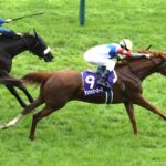 あの日、東京の芝に咲いた奇跡の薔薇 - テンハッピーローズの蹄跡を振り返る