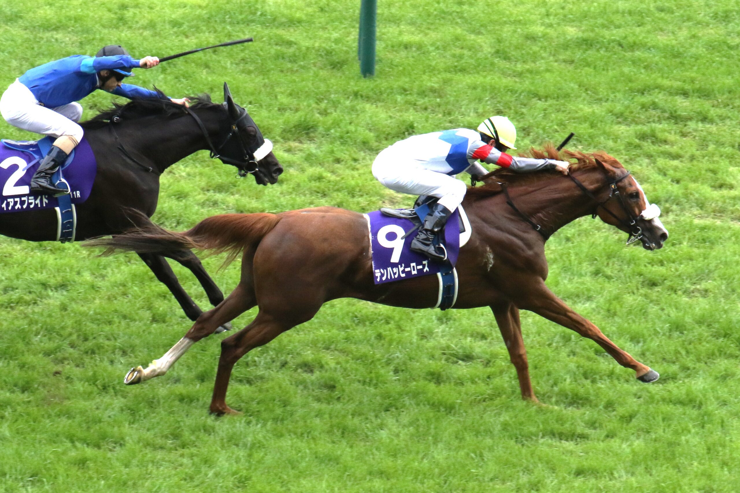 あの日、東京の芝に咲いた奇跡の薔薇 - テンハッピーローズの蹄跡を振り返る