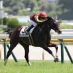 ［今週の競馬］今週の中央競馬は3日間開催！　東西でクラシックを占う重要な一戦