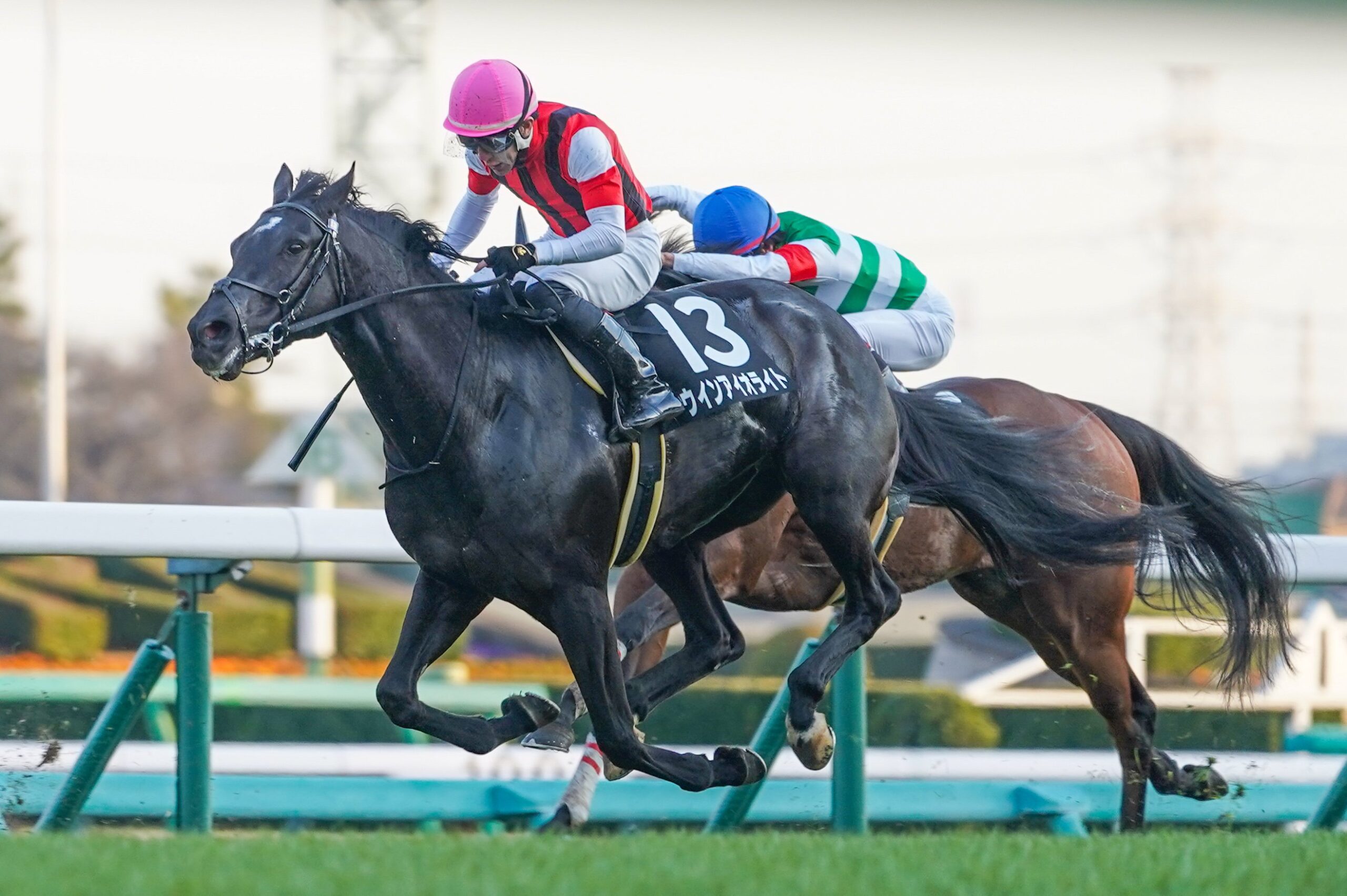 ［リーディング］高野友和師が3勝で調教師部門の単独トップに！　騎手部門は若手の台頭も目立つ