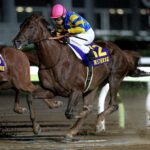 その重力を速さに変えて - 砂の上を進撃した重戦車ドンフランキー