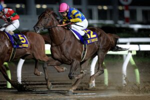 その重力を速さに変えて - 砂の上を進撃した重戦車ドンフランキー