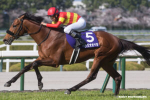 仁川の匠ここにあり。ベラジオオペラと横山和生